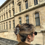 Solar Eclipse | Hand-painted Beetle Claw Hair Clip