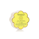 Spongelle Daisy Spongette | Various