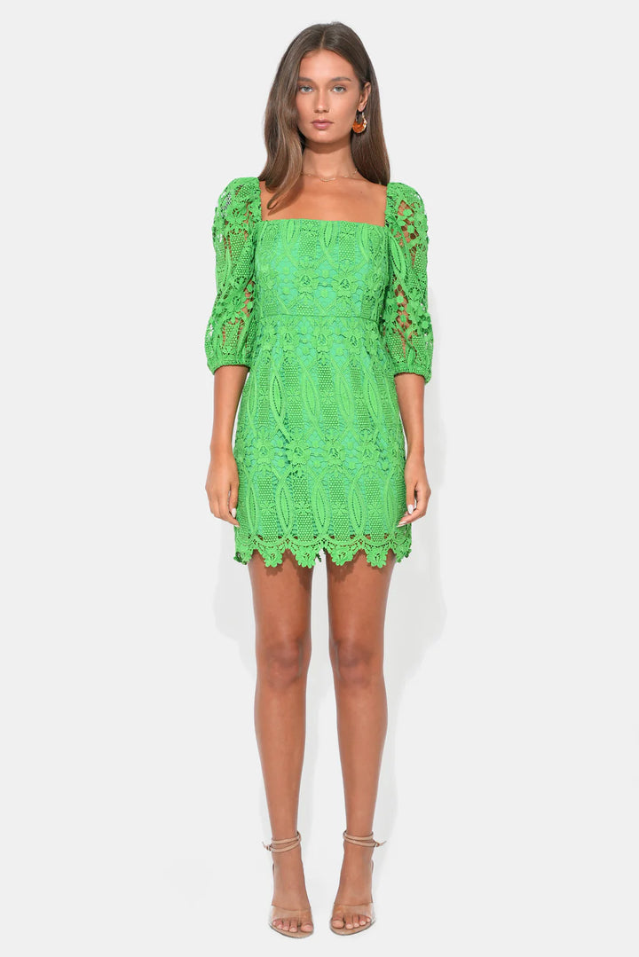 Adelyn Rae | Emery Puff Sleeve Lace Dress  - Matcha Green