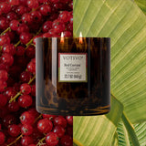 Votivo | Tortoise Candle 22.7 oz | Various