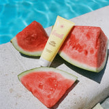 Bask Sunscreen |  SPF 50 Lotion Sunscreen