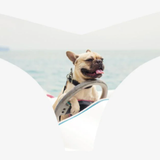 Commando Classic Photo Op Thong | French Bulldog