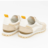 Oncept Toronto | Wheat