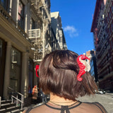Solar Eclipse | Hand-painted Seahorse Claw Hair Clip