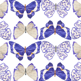 Taylor Gray | CHINOISERIE Trinket Tray Insert - 5.5X11