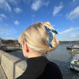 Solar Eclipse | Hand-painted Blue Whale Hair Claw Clip