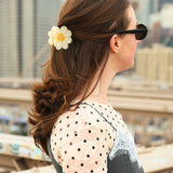 Solar Eclipse | Hand-painted Vintage Claw Hair Clip - Daisy